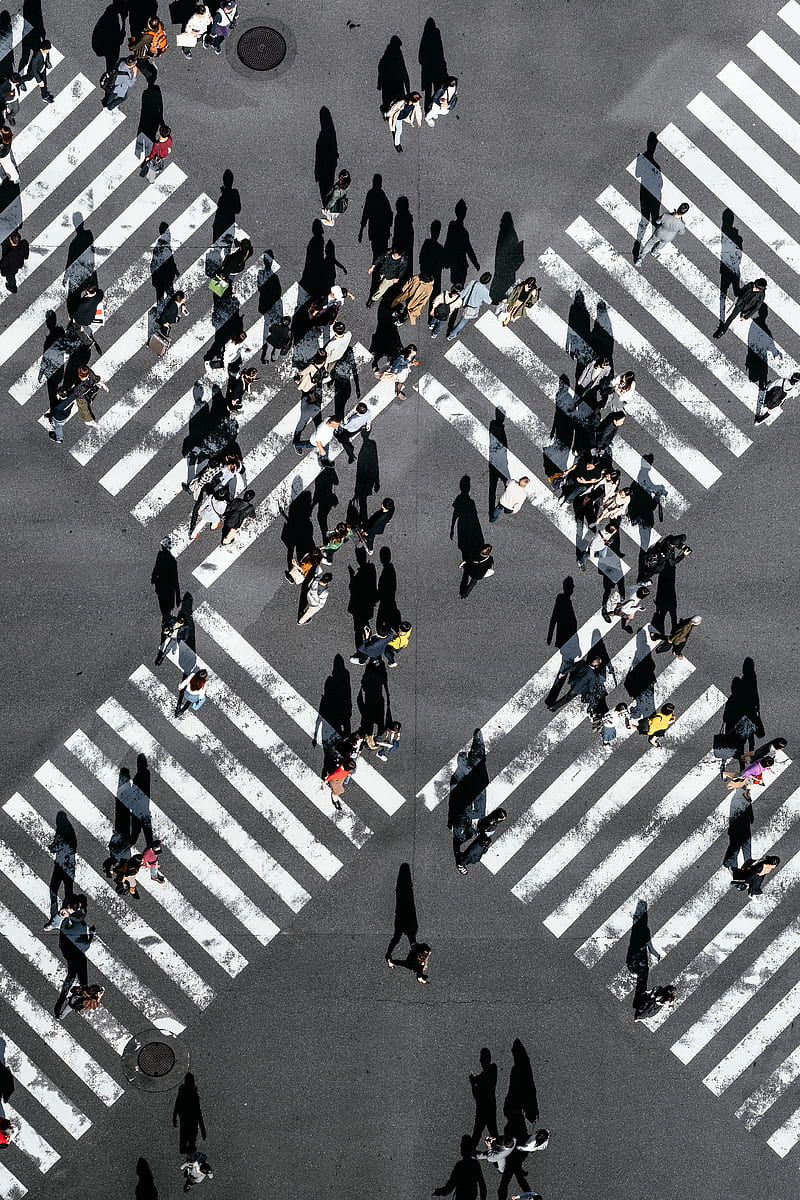 aerial view of people walking on cross pedestrian lane, HD phone wallpaper