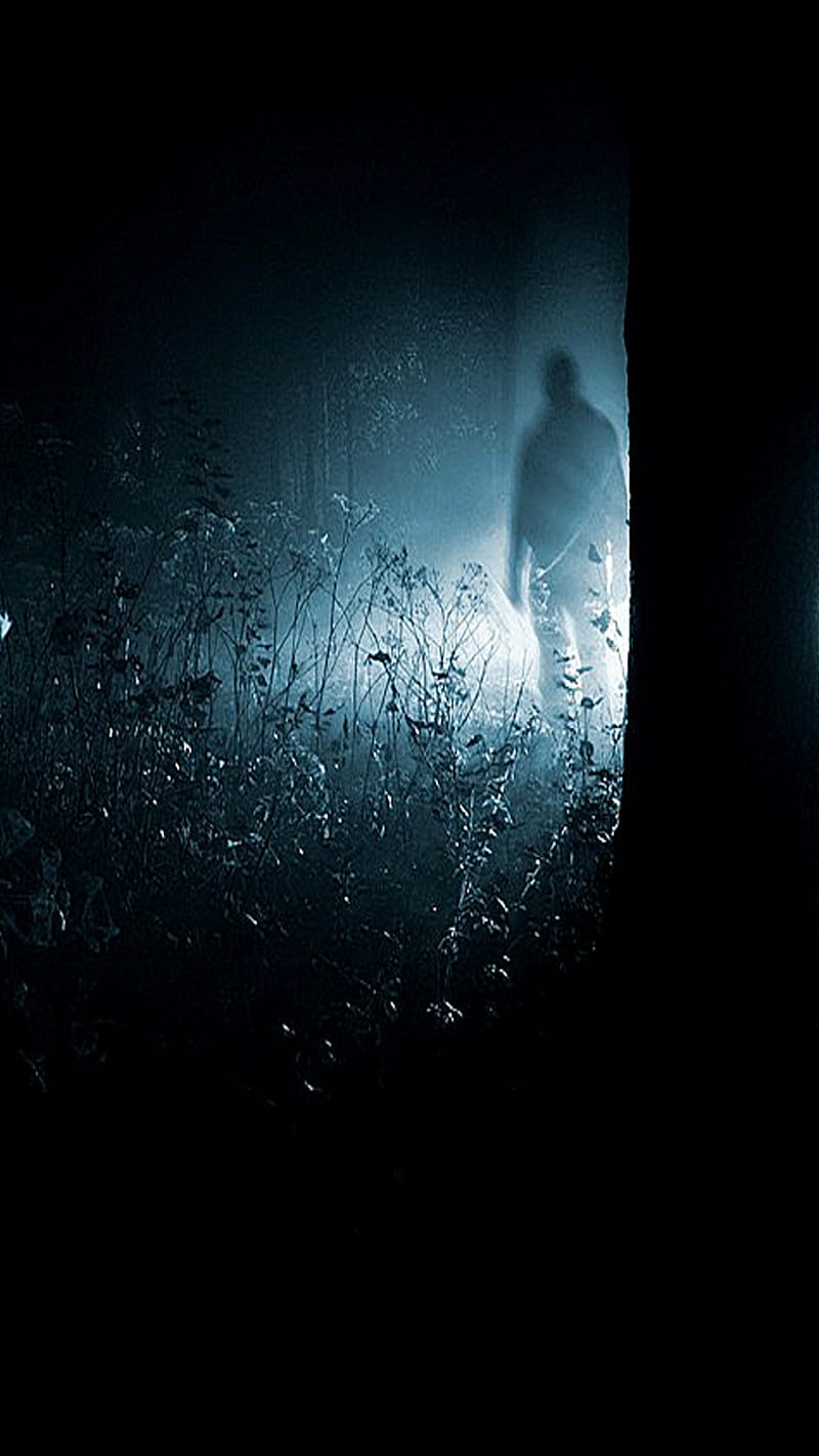 Stranger, stranger, dark, horor, forest, ghost, HD phone wallpaper | Peakpx