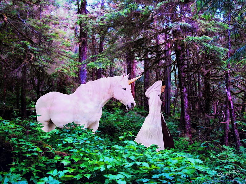 Last Unicorn, forest, fantasy, green, unicorn, white, HD wallpaper