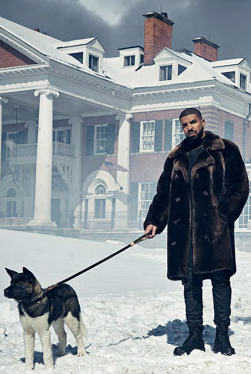 Drake, dog, snow, views, HD phone wallpaper