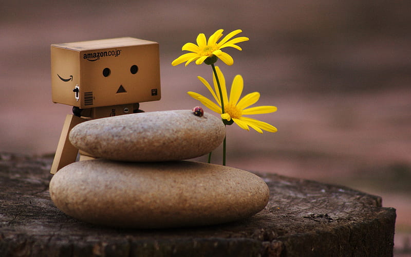 danbo and zen pebbles-Carton with the film people Danbo, HD wallpaper