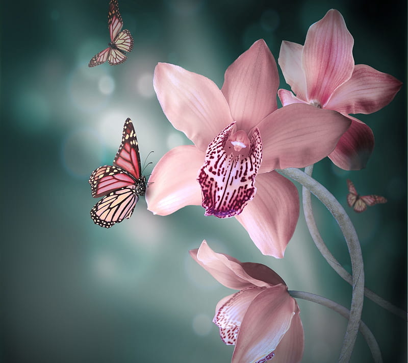 Pink, butterfly, flower, nature, HD wallpaper
