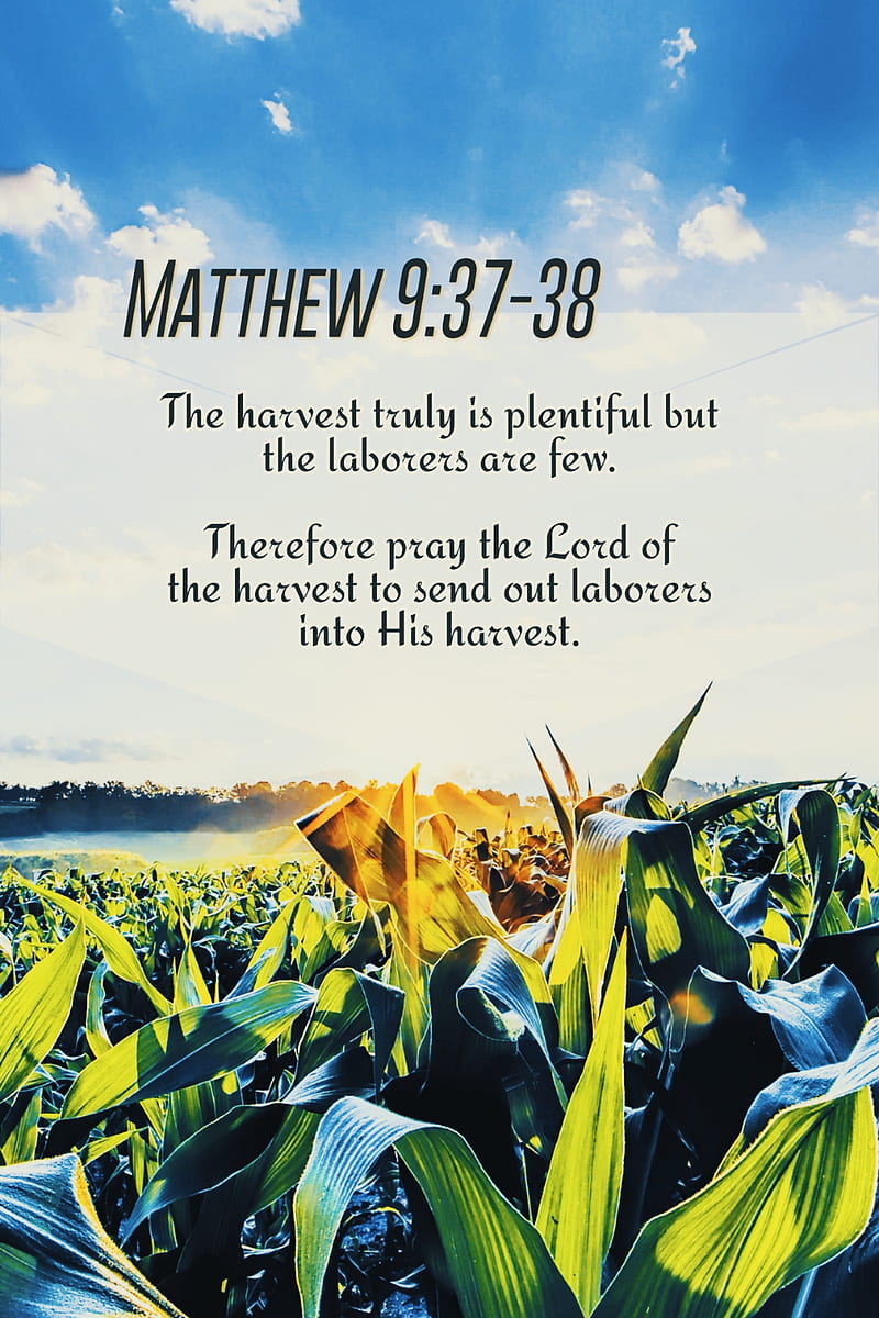 Lord of The Harvest, bible, bible scripture, christian, god, prayer, spiritual, verses, HD phone wallpaper