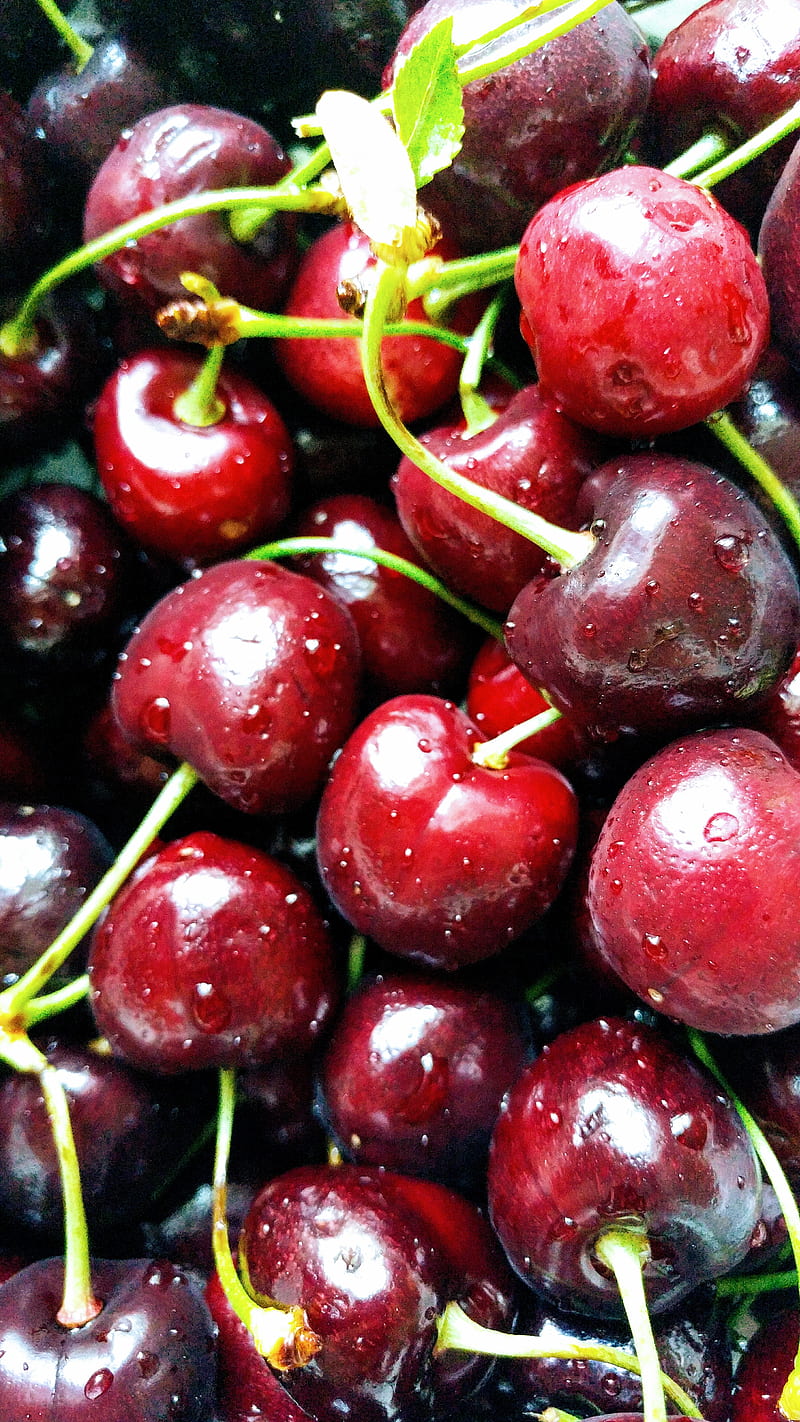 Cherries, cherry, dark red, fruit, red, HD phone wallpaper
