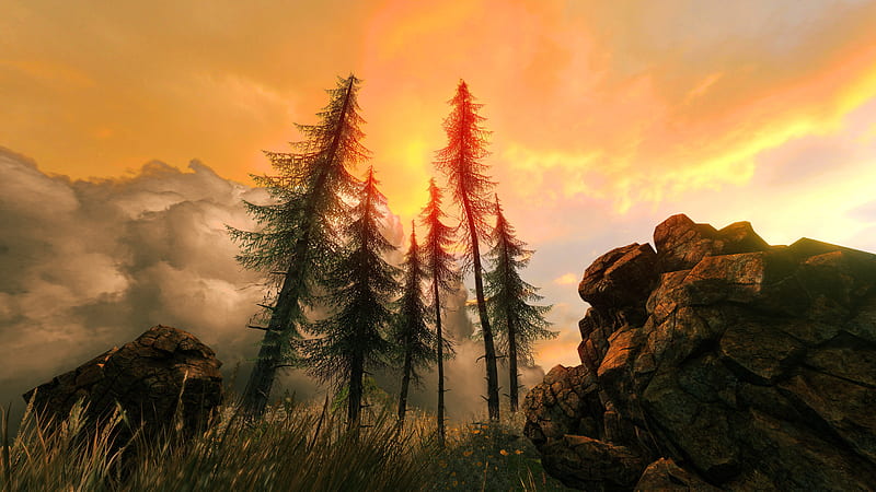 Fir Trees Between Boulders Under Cloudy Sky During Sunset Nature, HD wallpaper