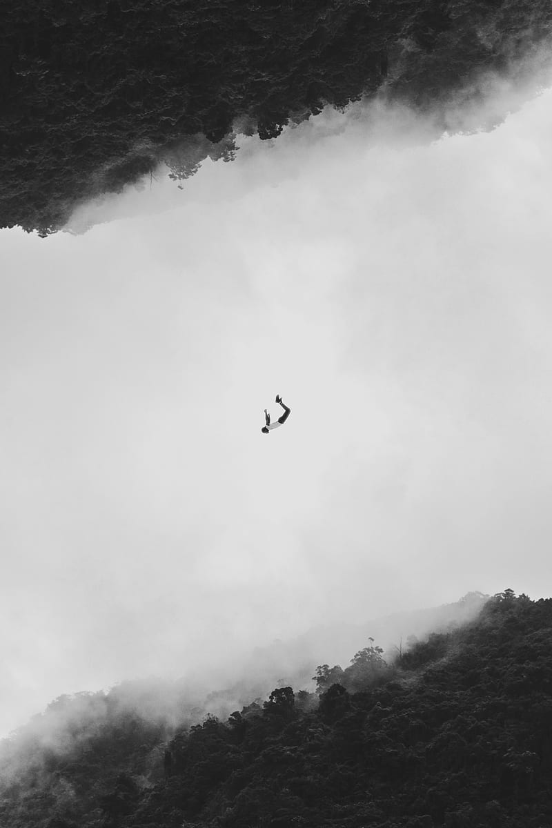 silhouette, bw, flight, jump, forest, minimalism, HD phone wallpaper