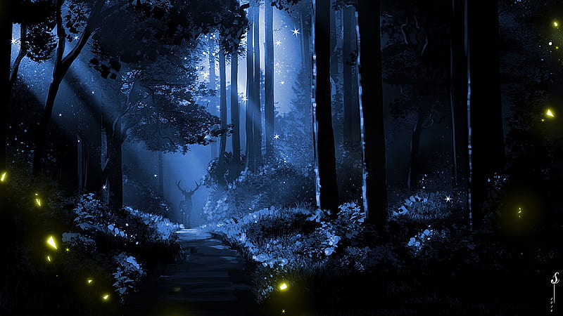 Firefly Forest Wallpapers  Top Free Firefly Forest Backgrounds   WallpaperAccess