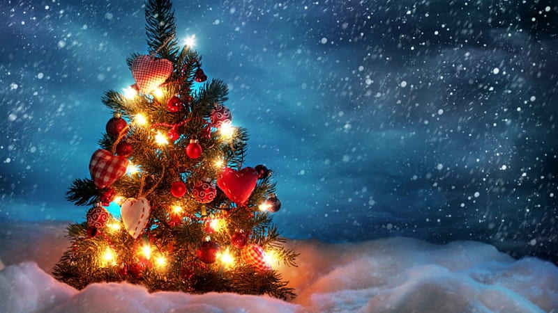 Holly Jolly Christmas, tree, holidays, christmas, happy, HD wallpaper