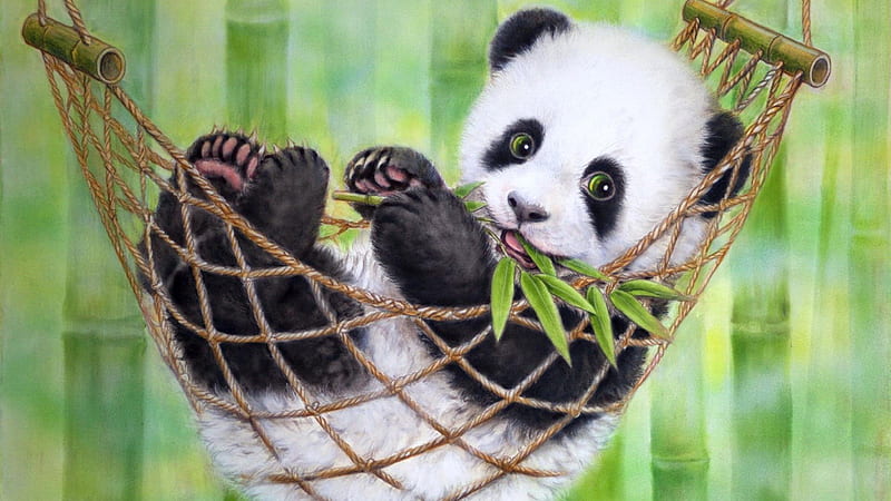 Panda With Leaves In Mouth Panda, HD wallpaper