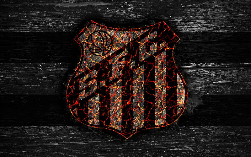 Santos FC fire logo, Brazilian Serie A, football, grunge, brazilian football club, soccer, logo, Santos, wooden texture, Vila Belmiro, smoldering tree, Brazil, FC Santos, HD wallpaper