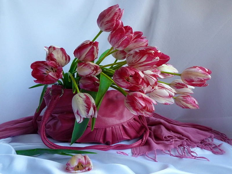 Still life, red, pretty, veil, vase, delicate, bouquet, flowers, tulips, harmony, HD wallpaper