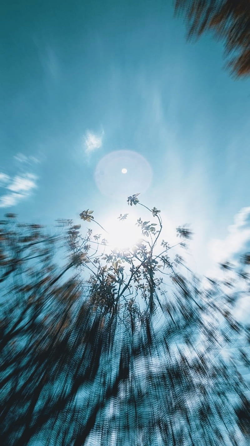 Sun Blur, sky, trippy, nature, android, tree, clouds, sunny