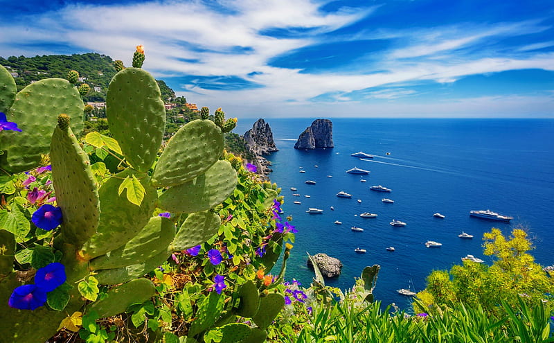Capri, rocks, view, bonito, sky, sea, boats, plants, summer, flowers, horizons, island, coast, HD wallpaper