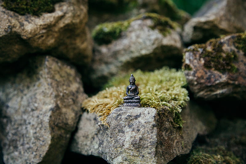 brown Buddha miniature on stone, HD wallpaper