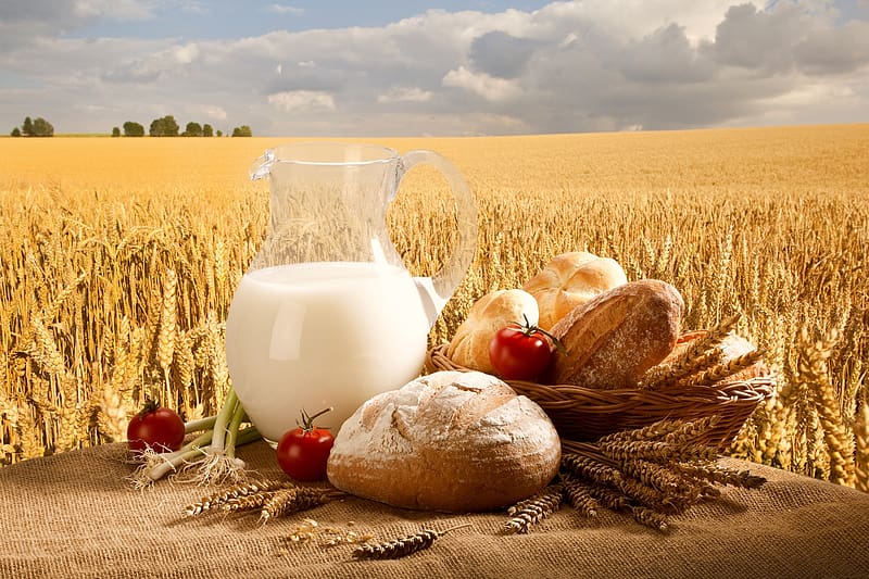 Food, Sky, Wheat, Still Life, Field, Basket, Bread, Tomato, Onion, HD wallpaper