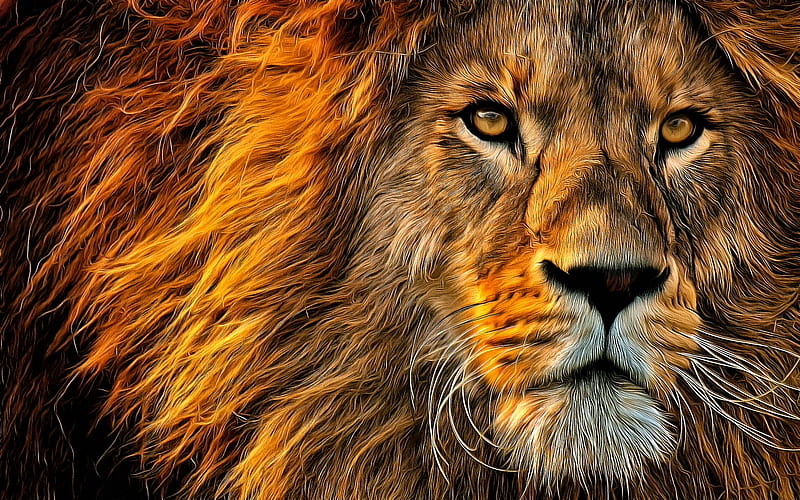 The lion, art, montag451, leu, lion, animal, HD wallpaper