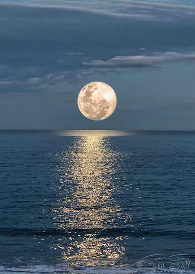 moon and ocean, moonlight, sea, HD phone wallpaper