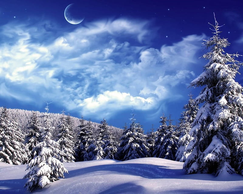 Amazing Winter, stars, trees, sky, winter, mountain, moon, pine, fir, hill, HD wallpaper