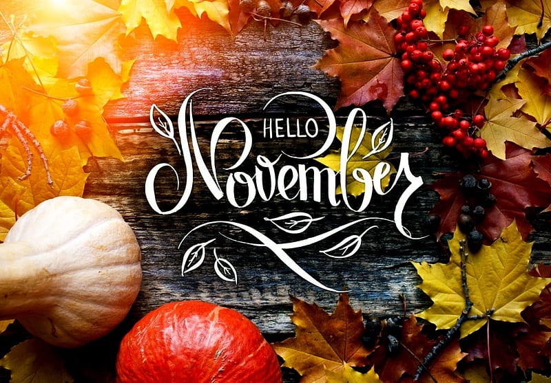 Hello November, November, Hello, Leaves, 2019, Pumpkins, HD wallpaper