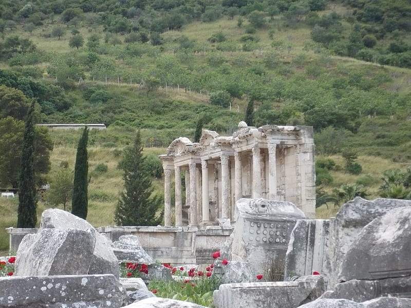 Turkey, Ephesus, collection of ancient rocks, turkey, poppies, summer, yew, vegetation, history, ephesus, HD wallpaper