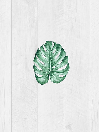 Free Cute Green Aesthetic Background  EPS Illustrator JPG PNG SVG   Templatenet