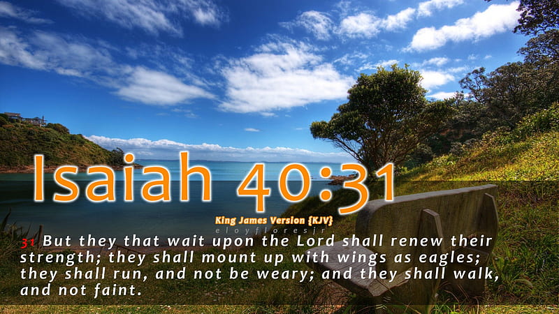 Isaiah 4031 ASV Mobile Phone Wallpaper  but they that wait for Jehovah  shall renew their