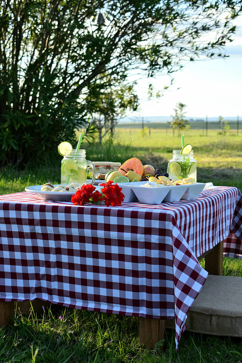 table, fruit, plates, picnic, nature, HD phone wallpaper