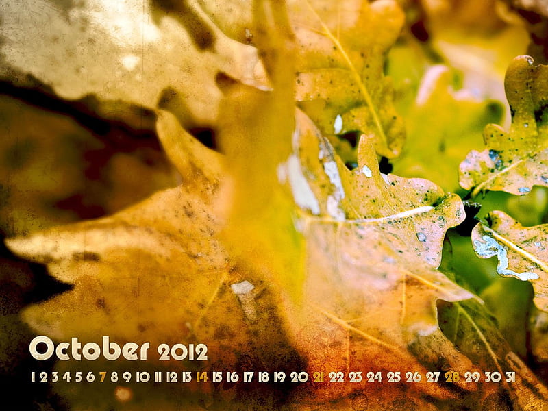 Autumn Leaves-October 2012 calendar, HD wallpaper