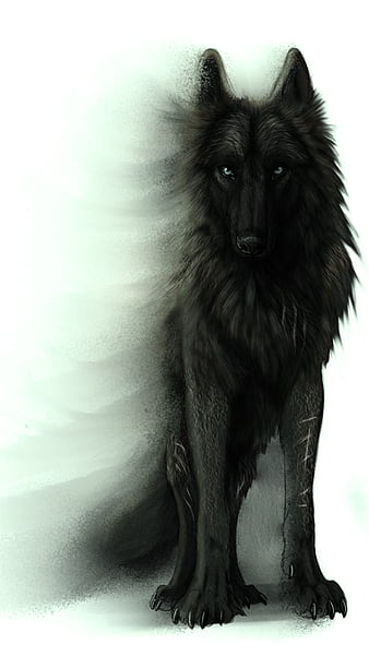 anime shadow wolf wallpaper