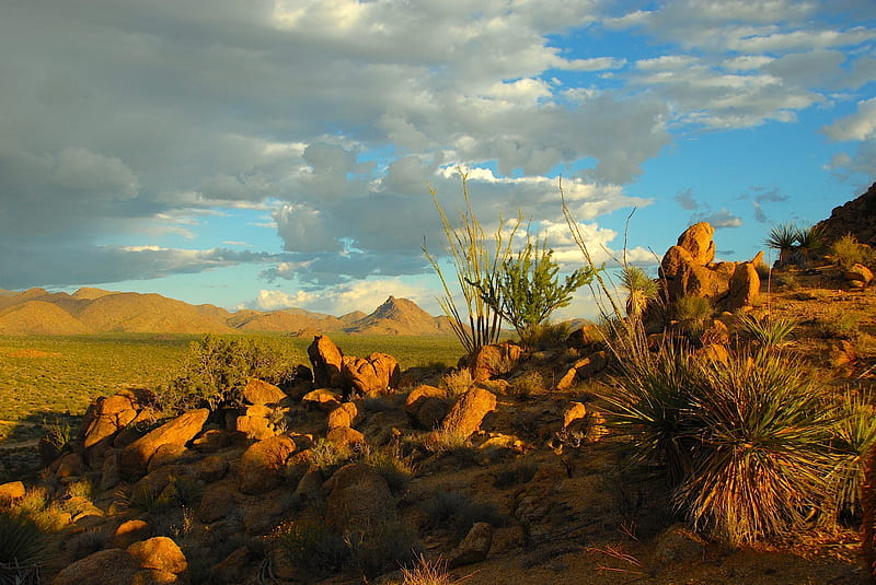 Sonoran Desert, Mountains, Landscapes, Deserts, Rocks, Nature, HD wallpaper