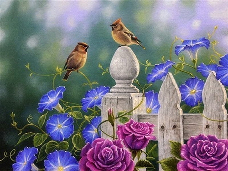On the Fence Post - Cedar Waxwing's, fence, love four seasons, birds, spring, roses, paintings, summer, flowers, garden, nature, animals, HD wallpaper