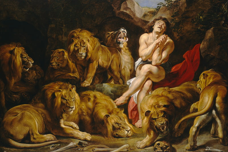 Daniel in the lions den, art, peter paul rubens, leu, painting, man, pictura, lion, animal, HD wallpaper