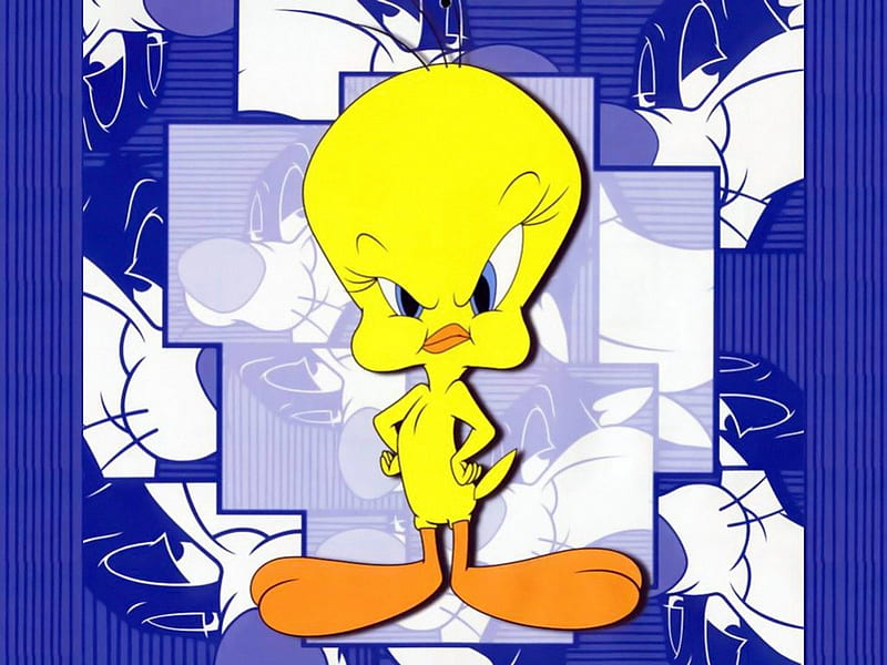 Tweety bird, yellow, cartoon, bird, tweety, HD wallpaper | Peakpx