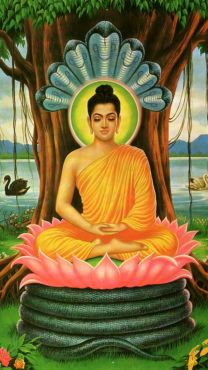 Lord Buddha, god, holy, spiritual, HD phone wallpaper