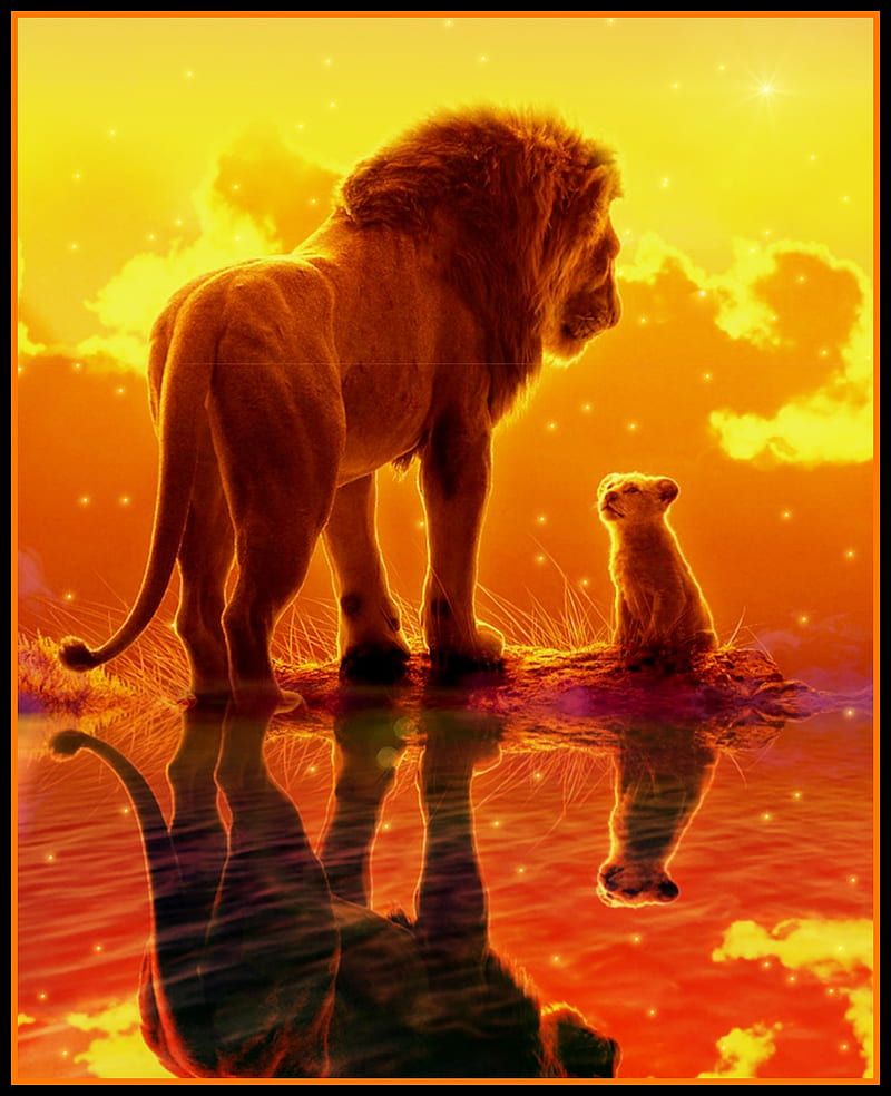 The lion king, cats, land, lions, sky, HD phone wallpaper