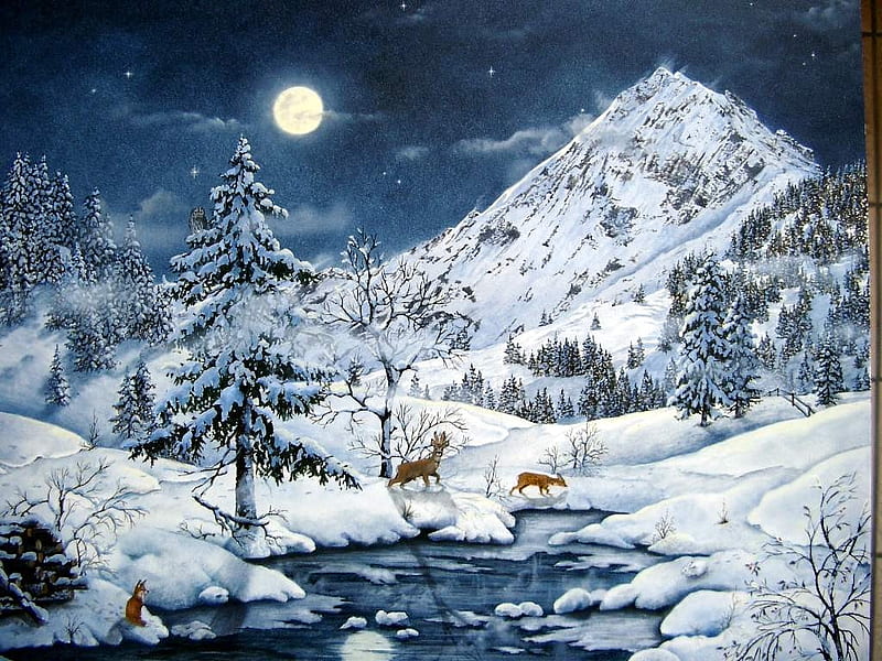 Snownight / Schneenacht, holidays, christmas, abstract, x-mas, xmas, winter, cold, fantasy, merry christmas, snow, feast, light, night, HD wallpaper