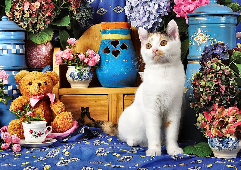 Calico Cat, Teddybear, & Tea Cup F, hydrangea, bonito, pets, animal, tea cup, teddybear, feline, graphy, calico, wide screen, flowers, teddy bear, cats, HD wallpaper