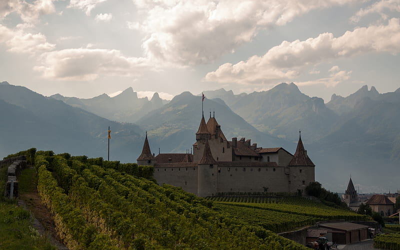 Castles, Castle, Aigle Castle, Alps, Mountain, Switzerland, Vineyard, HD wallpaper
