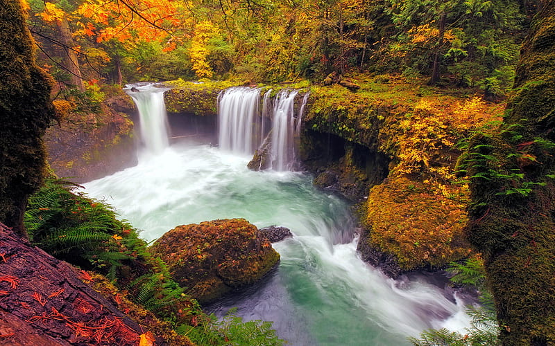 waterfall, lake, autumn, yellow trees, autumn landscape, forest, autumn waterfall, HD wallpaper