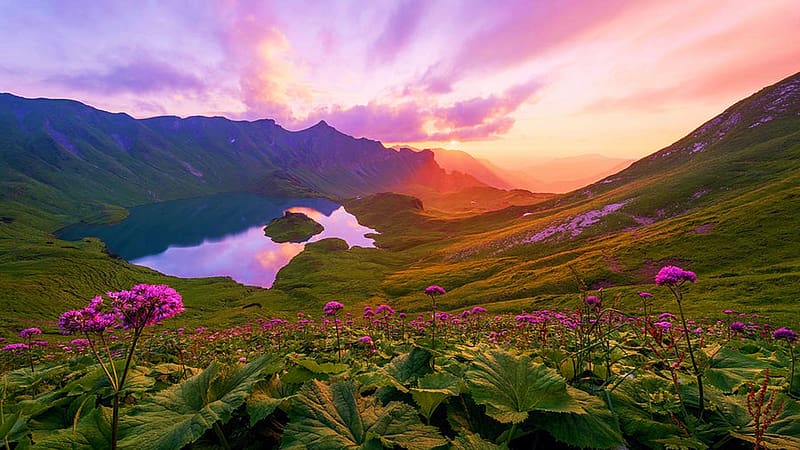 Magic Allgaeu - Lake Schrecksee, Bavarian Alps, hills, germany, trees, colors, landscape, clouds, sky, mountains, flowers, HD wallpaper