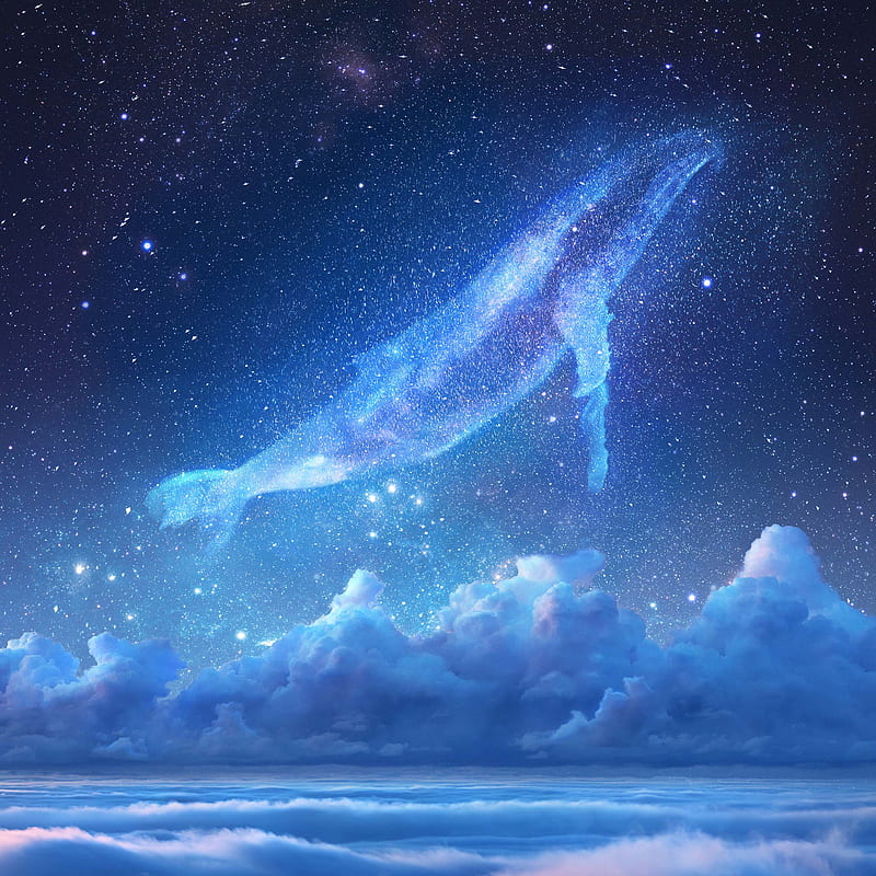 Whale in the Sky, whale in stars, stars, sky, night, milky, star, lights, skies, clouds, HD phone wallpaper