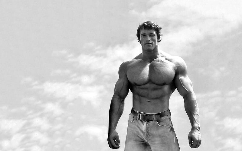 Arnold Schwarzenegger cuerpobuilding Fondos de pantalla Hd Fondos de  pantalla Imágenes por Kath34  Imágenes españoles imágenes