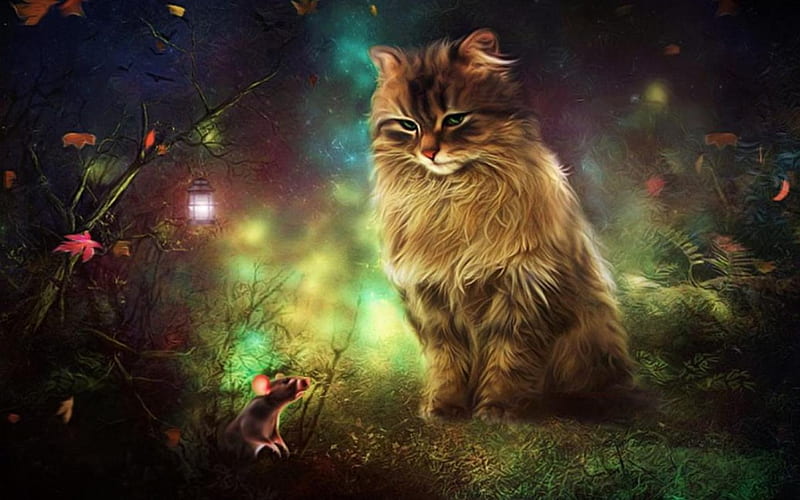 cat and mouse, look, cat, night, mouse, HD wallpaper