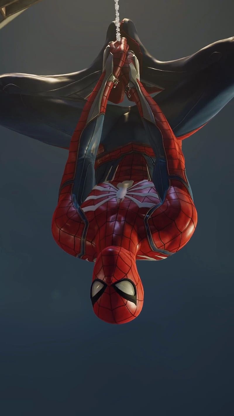 Spider Man Hanging Upside Down, spider man, hanging, upside down, marvel, animation, HD phone wallpaper