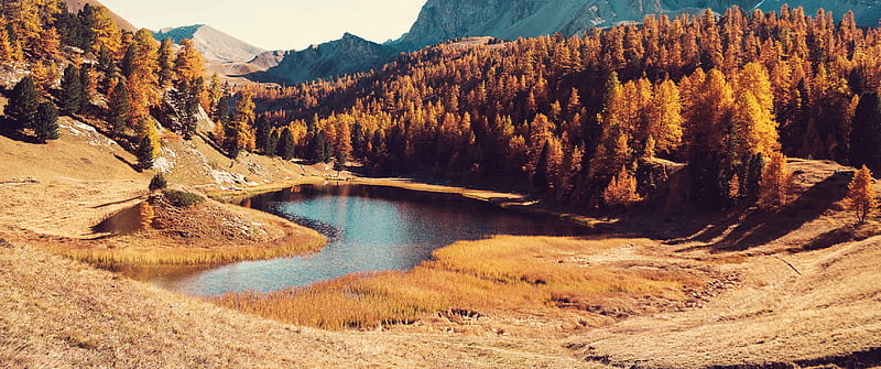 Wild Autumn, HD wallpaper