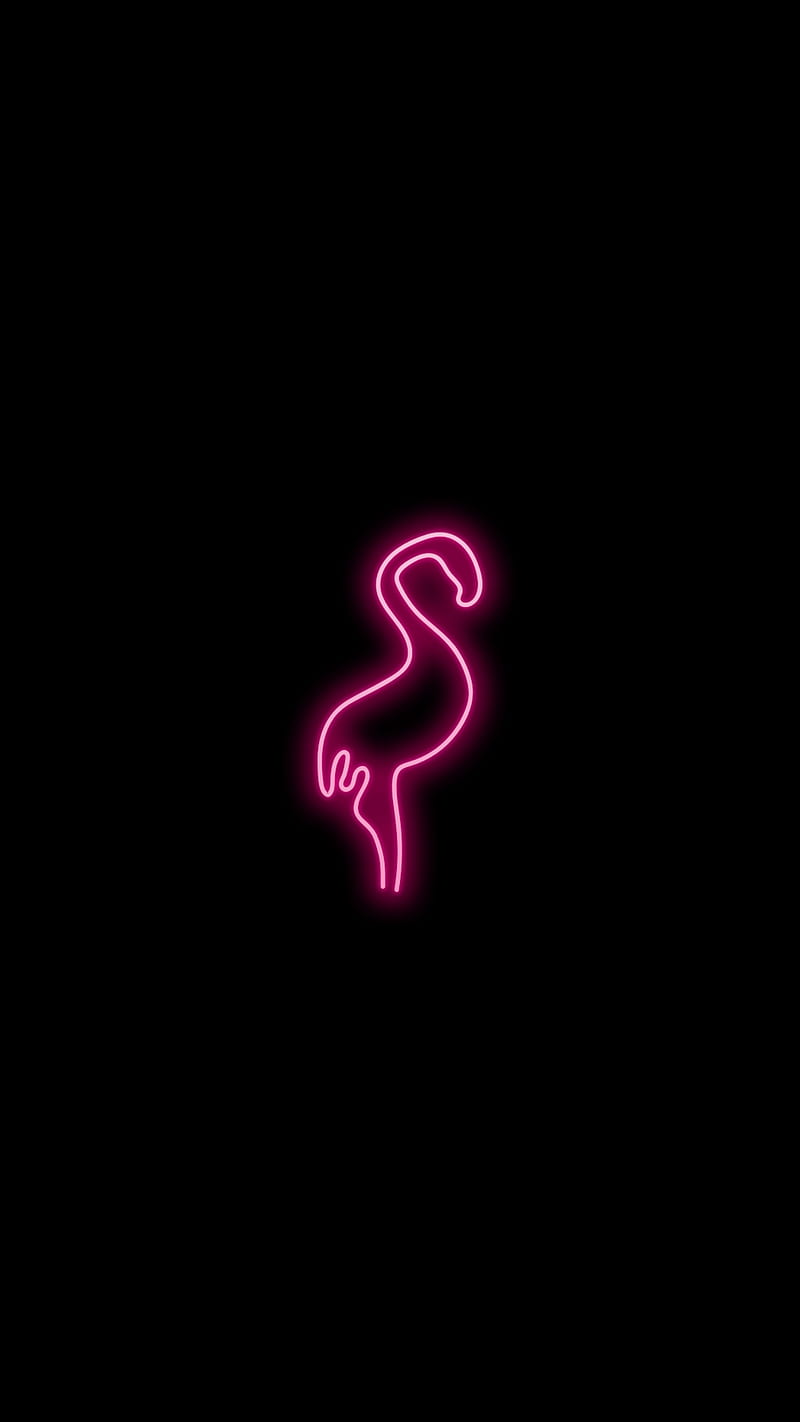 Flamingo, new, pink, HD phone wallpaper | Peakpx