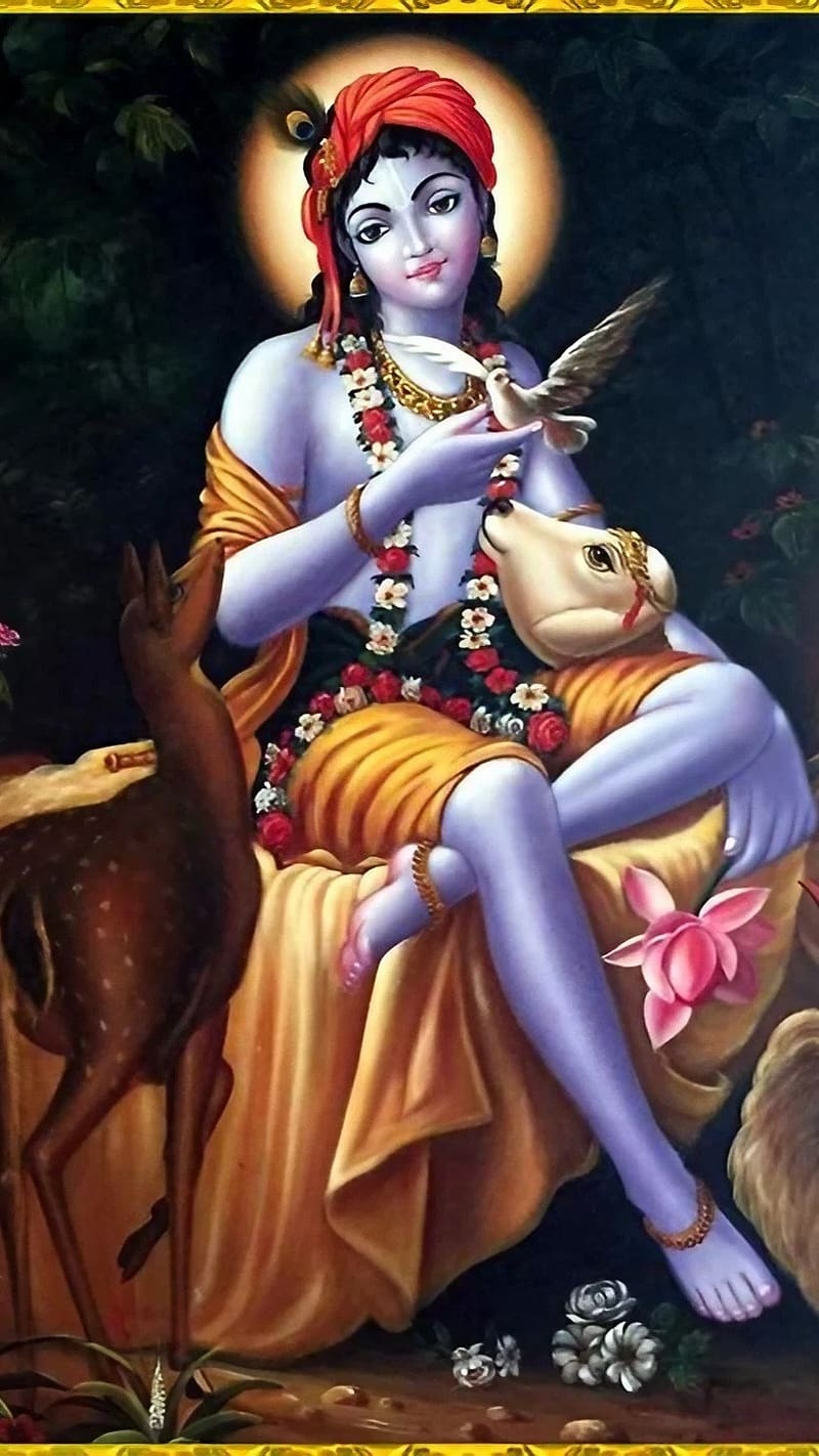 Krishna Ji , Animation, hindu god, bhakti, devotional, HD phone wallpaper