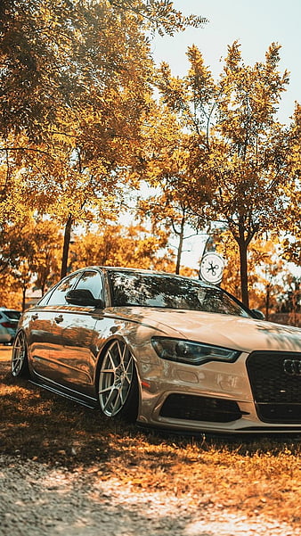 Wallpaper Audi, Car, Tuning, Future, Stance, Low, Before, by