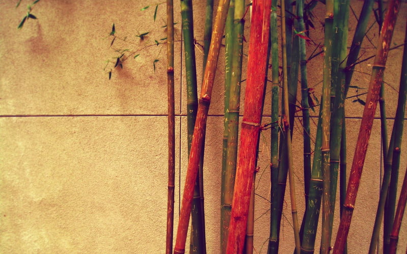 vintage bamboo, red, colorful, scenic, brown, tan, bamboo, green, nature, lucky, HD wallpaper