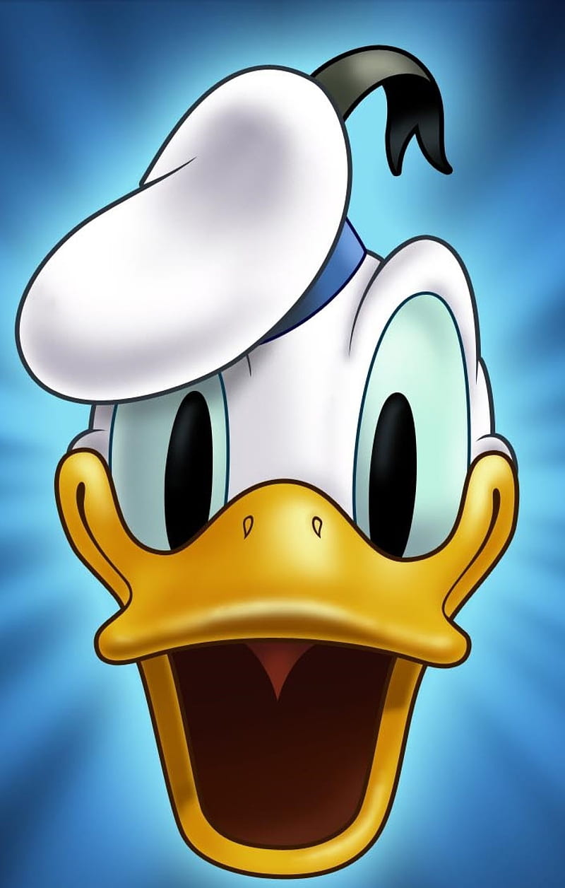 Donald duck, cartoons, HD phone wallpaper | Peakpx
